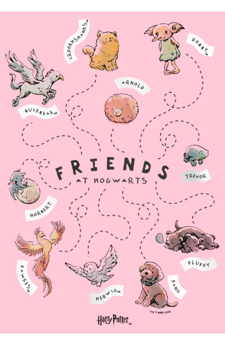 HARRY POTTER Girl's Harry Potter Animals and Pets from Hogwarts Graphic T-Shirt, Alternate, color, Light Pink