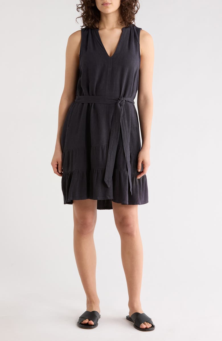 Splendid Hudson Sleeveless Flounce Hem Dress, Main, color, Lead