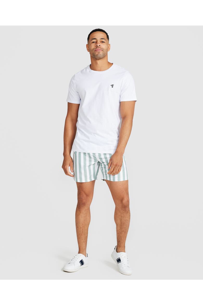 Naxos Swim Short, Alternate, color, Sage Green & White Stripe