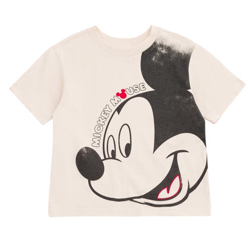 Disney Mickey Mouse & Friends T-shirt & Mesh Shorts Set In Multi