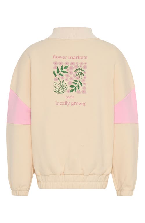 Tiny Tribe Kids' Colorblock Cotton Graphic Half Zip Sweatshirt In Neutral