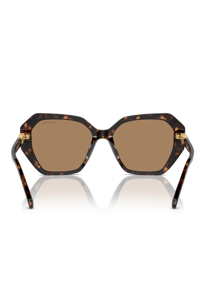 56mm Constella Round Sunglasses, Alternate, color, DARK HAVANA