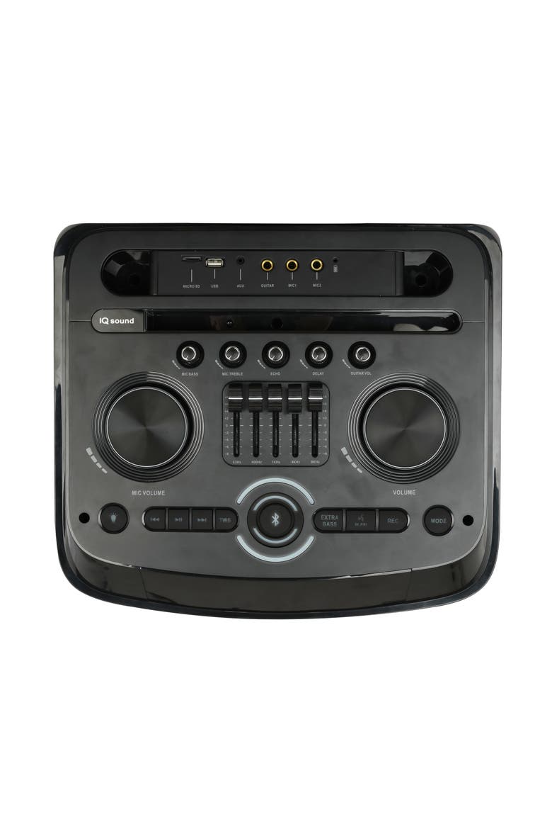 Cyber Flex 2x 12 Inch Portable Party Speaker, Alternate, color, Black