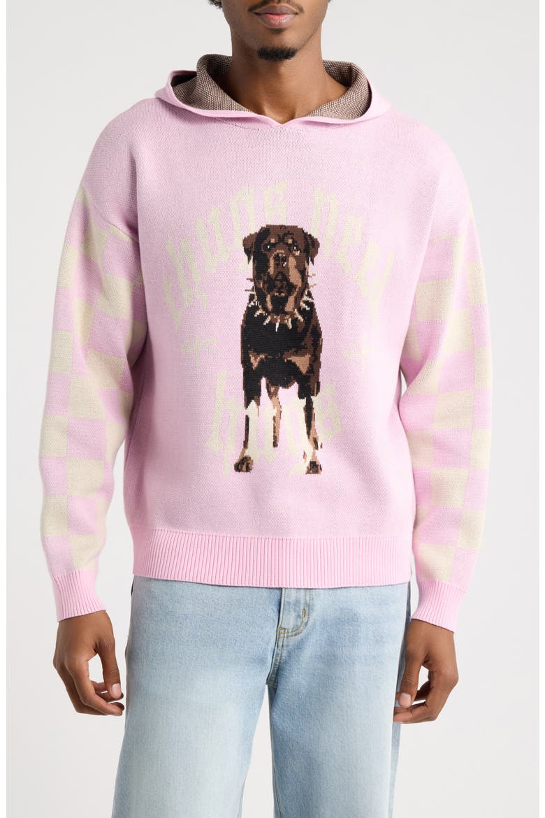 Graphic Cotton Knit Hoodie, Main, color, PINK