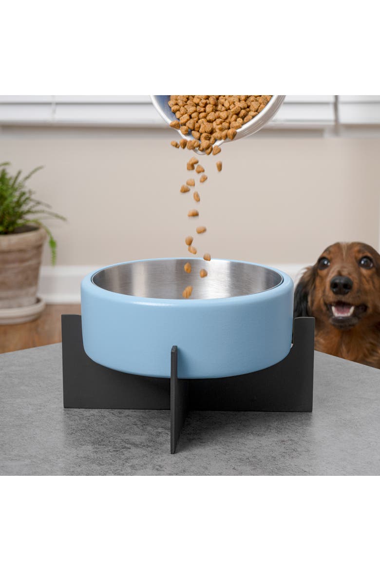 Intersecta Concrete and Stainless Steel Bowl with Metal Stand Pet Feeder, Alternate, color, Blue/Black