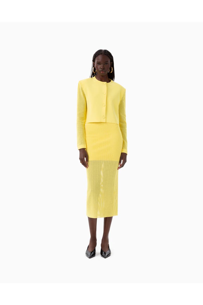 Lila Bolero, Main, color, Yellow