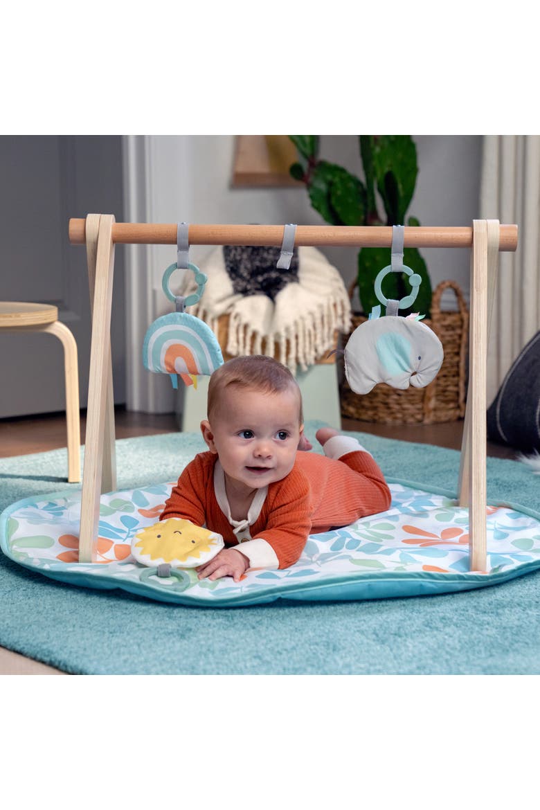 Sun Valley Wooden Toy Arch & Baby Play Mat, Alternate, color, BABY BLUE