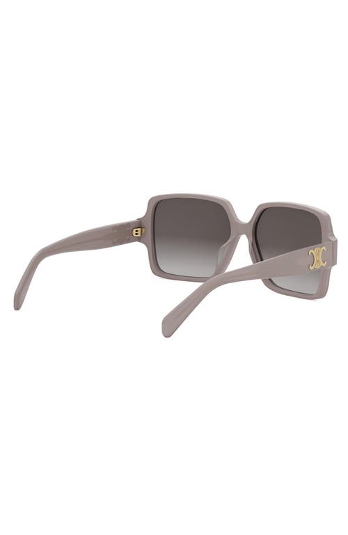 Celine Triomphe Square Acetate Sunglasses In Brown