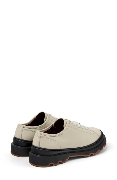 Camper Brutus Derby In Neutral
