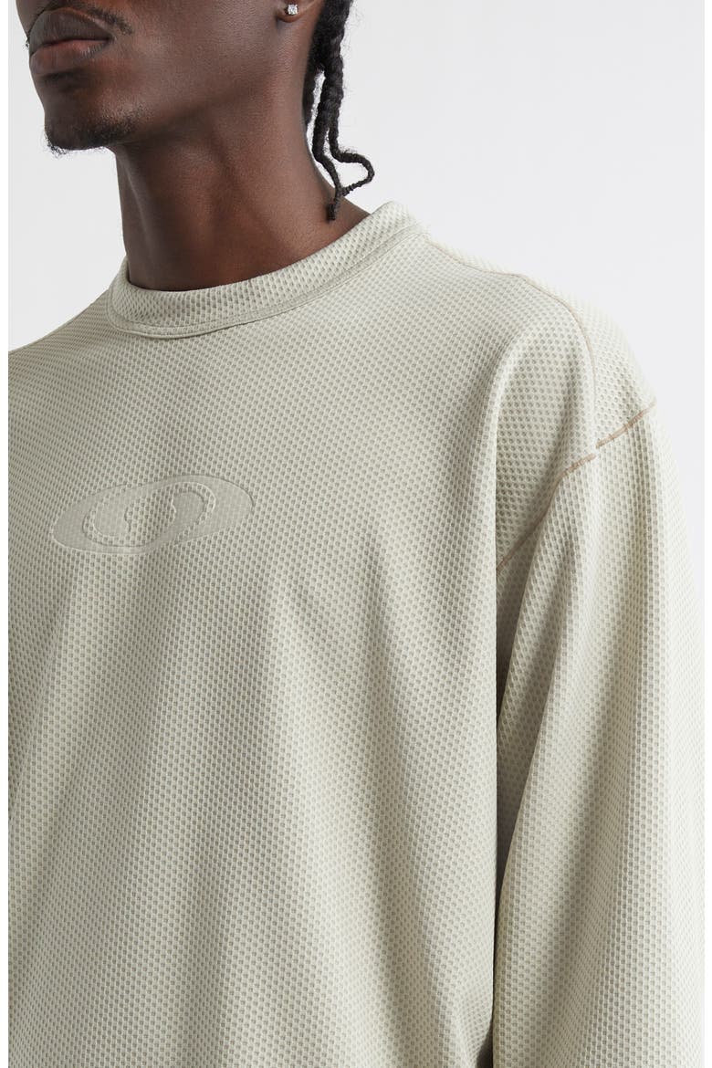x Salomon Logo Long Sleeve Graphic Mesh T-Shirt, Alternate, color, ABBEY STONE
