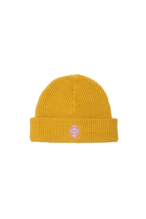 The Sunday Collective Organic Waffle Knit Beanie In Yellow