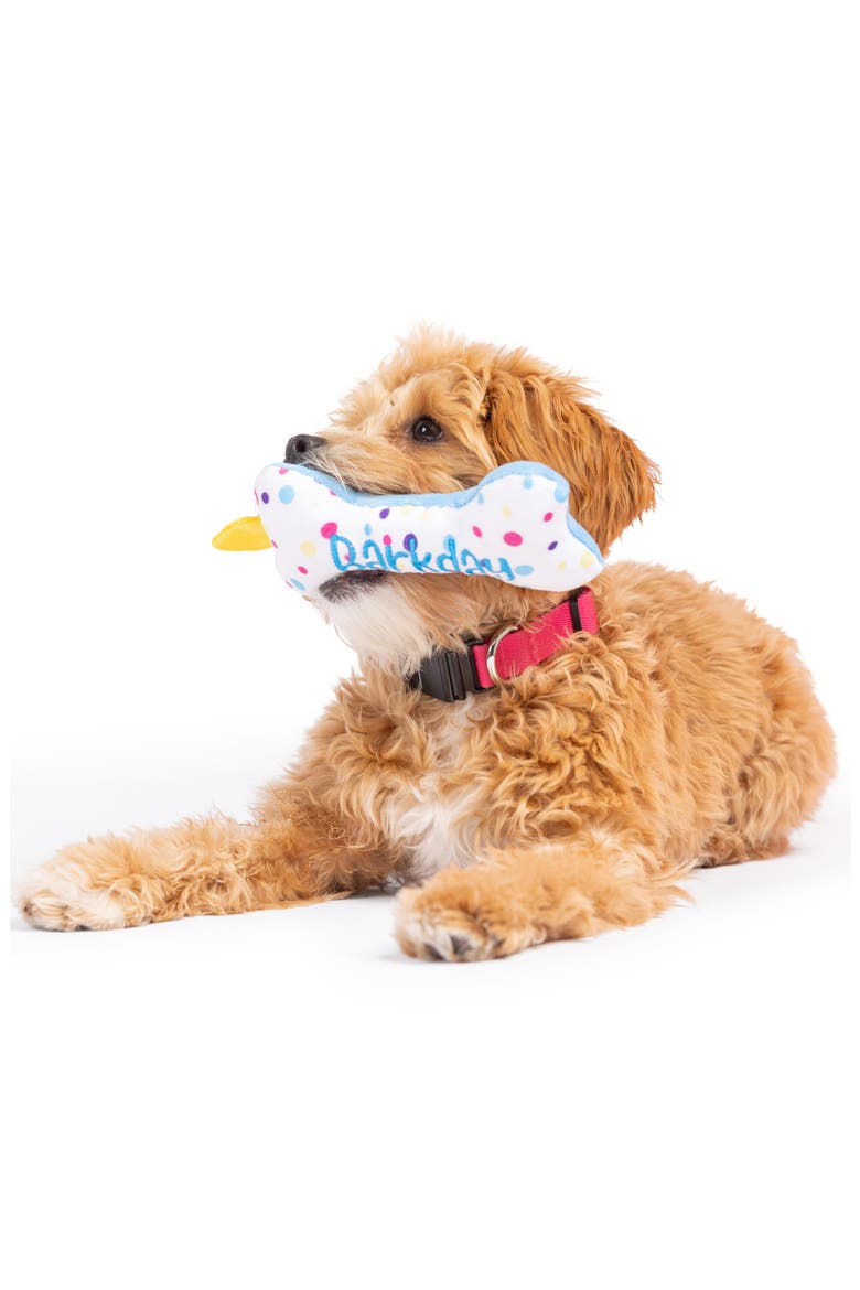 Tiny Tuff It's My Barkday Dog Toy, Alternate, color, BLUE