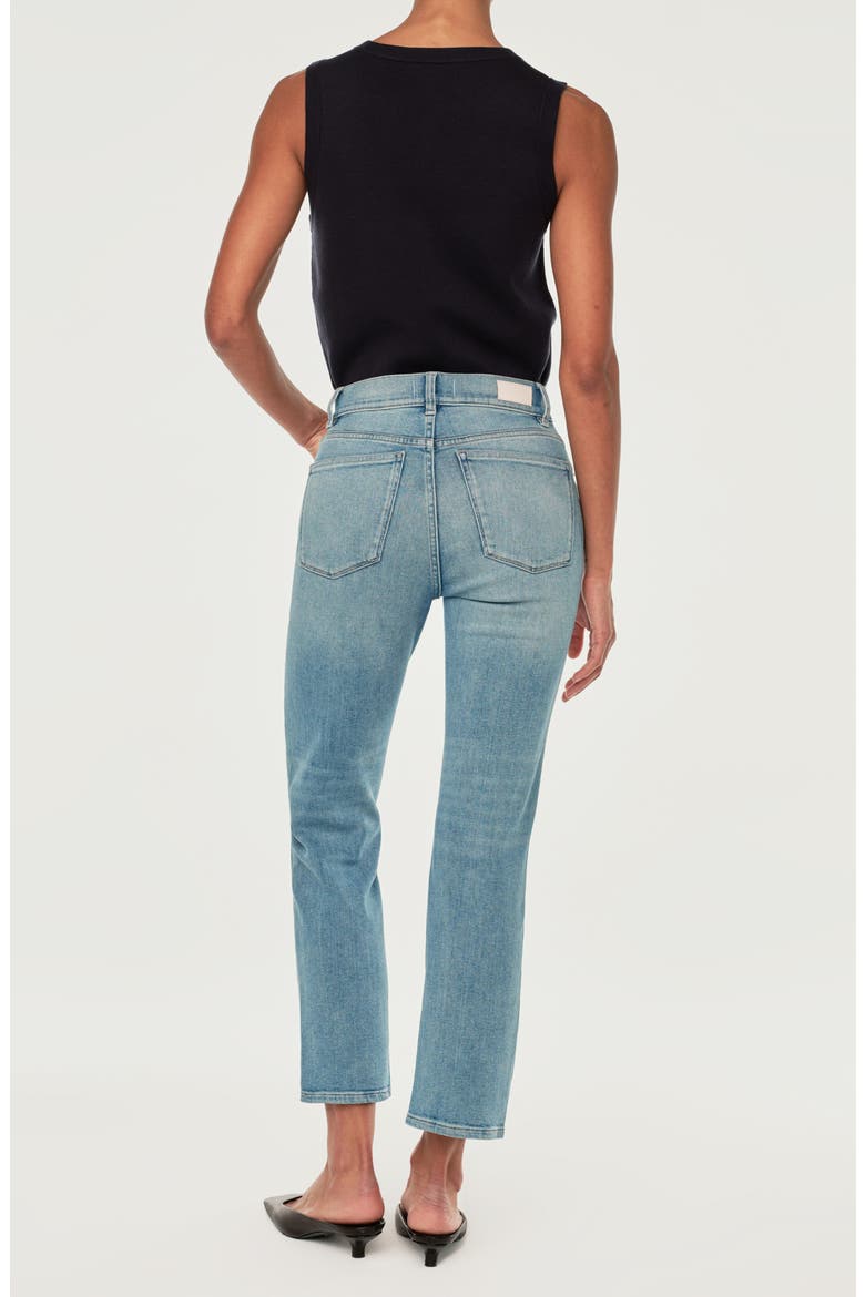 Patti High Waist Ankle Straight Leg Jeans, Alternate, color, RIDGE DL AIRBRUSHED