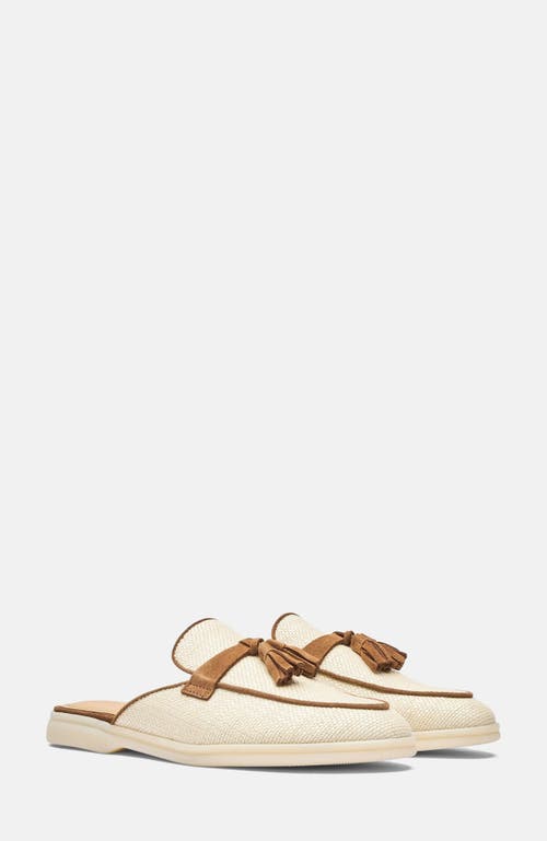 Shop Scarosso Lucrezia Mules
