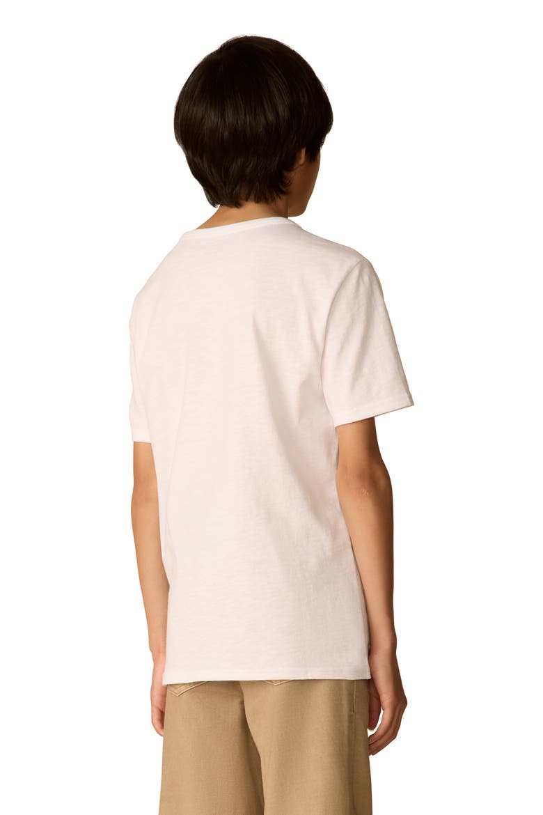 Kids' Surf Stripe Sunwashed T-shirt, Alternate, color, WHITE SURF STRIPE