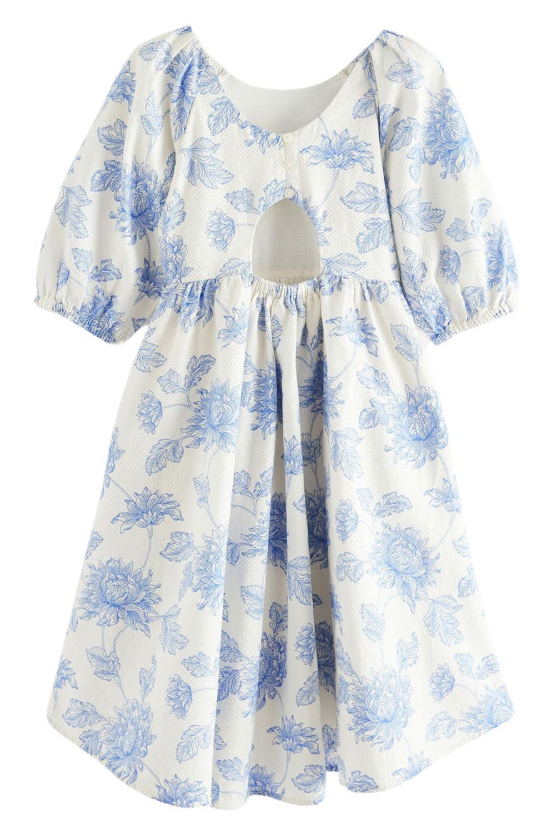 Kids' Floral Cotton Dobby Dress, Alternate, color, IVORY/ BLUE FLORAL