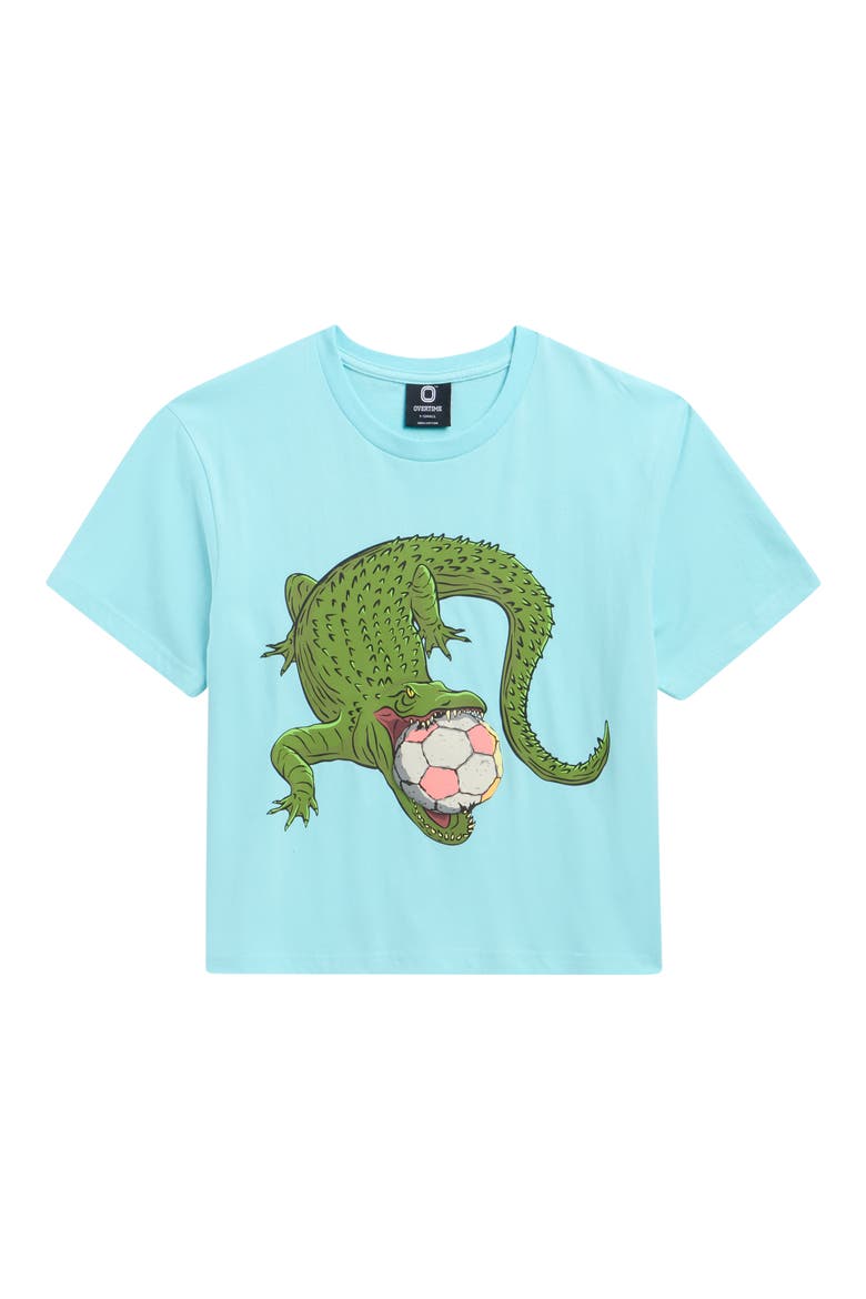 Kids' Gator Goalie Graphic T-Shirt, Main, color, MINT