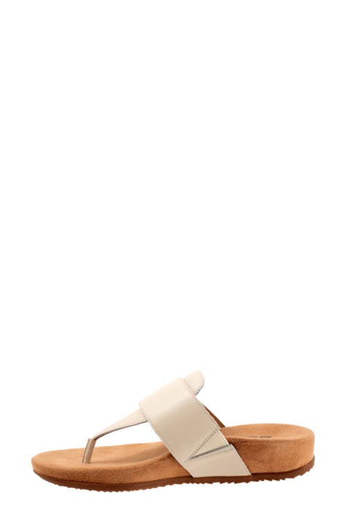 Softwalk ® Belize T-strap Sandal In Ivory