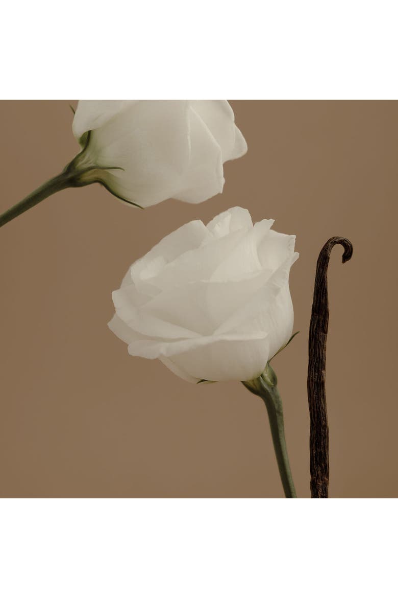 Aura Perfume - Grapefruit + Tonka Bean, Alternate, color, None