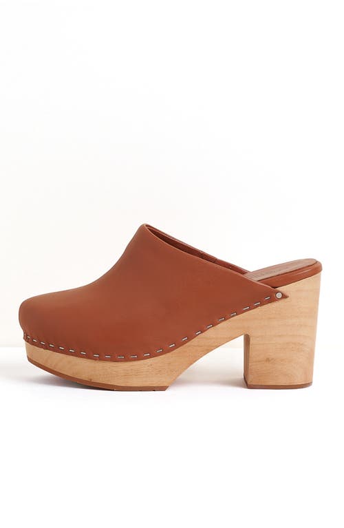 Charlotte Stone Marlo Platform Clog In Brown