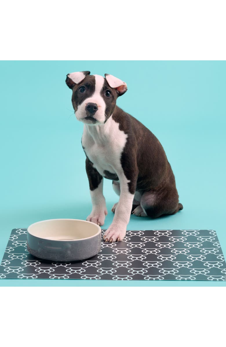 MASON CASH Embossed 17oz Bone Dog Food and Water Bowl, Alternate, color, Gray