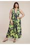 selected Green Petunia