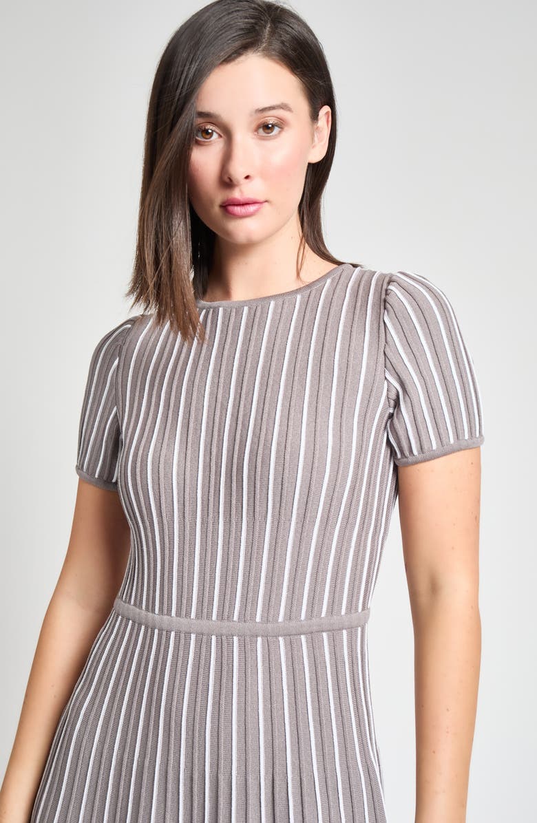 Ming Wang Modern Fit Stripe A-Line Knit Dress, Alternate, color, Mink/ White