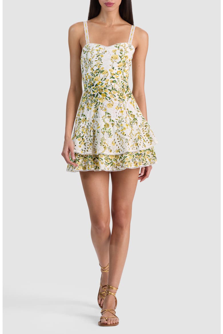 meredith floral embroidery a-line dress The Meredith HOPE & IVY