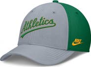 Nike Men's Nike Gray/Green Athletics Rise Swoosh Performance Flex Hat
