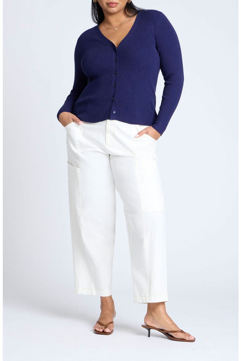 Fitted V-Neck Rib Cardigan, Alternate, color, SEABORNE