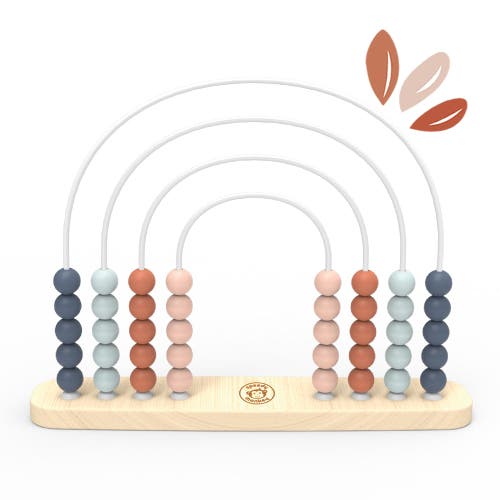 Speedy Monkey Rainbow Abacus In Multi