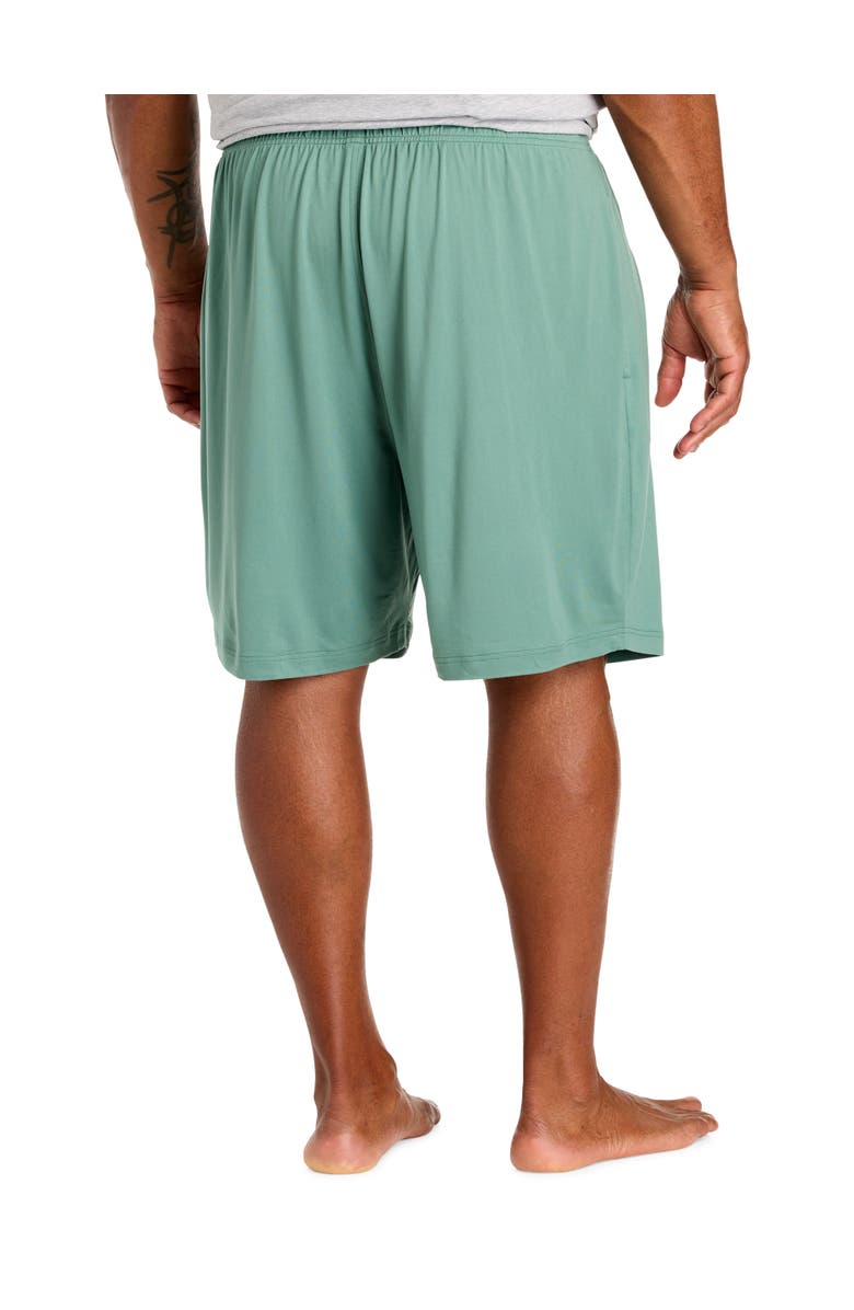 Harbor Bay by DXL Big & Tall Solid Sleep Shorts, Alternate, color, Wintergreen