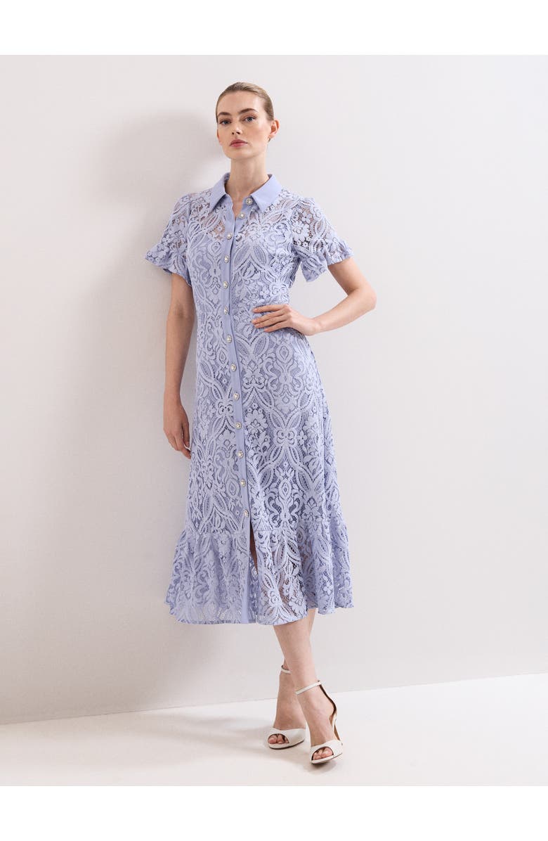 Phase Eight Carmine Lace Dress, Main, color, Pale Blue