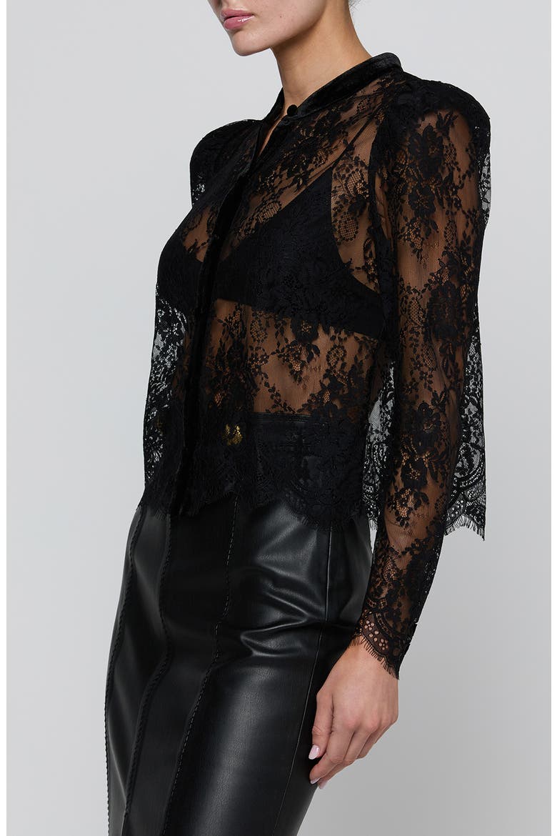 Dorothea Lace Top with Velvet Trim, Alternate, color, BLACK