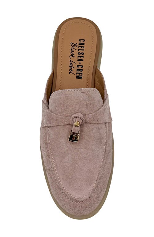 Chelsea Crew Lasso Mule Loafer