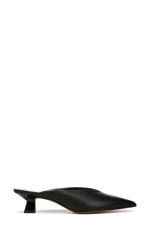Franco Sarto Jayda Kitten Heel Mule In Black