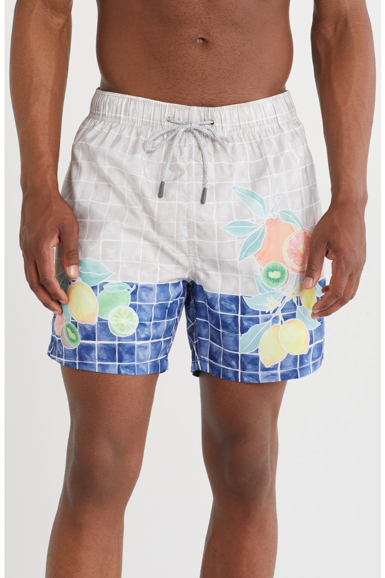Ponji Volley Swim Trunks, Main, color, TAN
