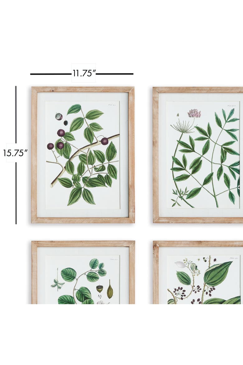 Verdant Branch Prints Set of 4, Alternate, color, Green