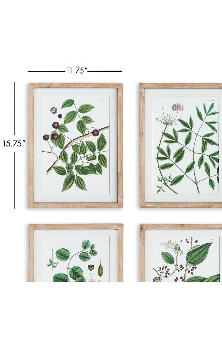 Napa Home & Garden Verdant Branch Prints Set of 4, Alternate, color, Green