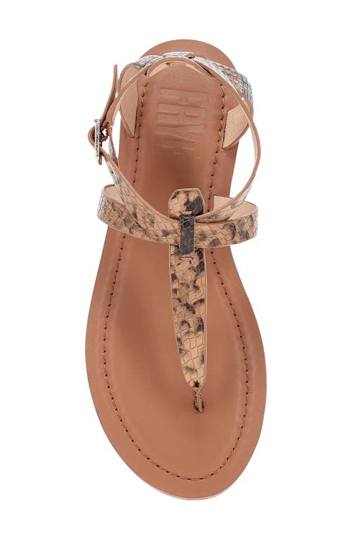 Frye Taylor Snake Print Ankle Strap Sandal In Brown Multi