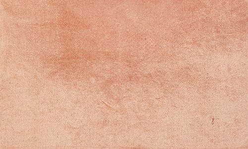Roselli Trading Company Raj Velvet Tassel Throw Pillow In Terracotta