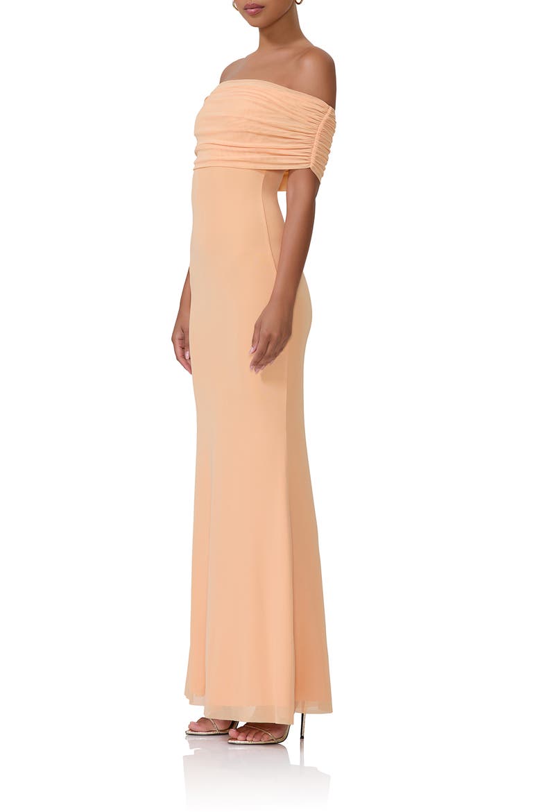 McCall Off the Shoulder Mesh Maxi Dress, Alternate, color, PEACH FUZZ