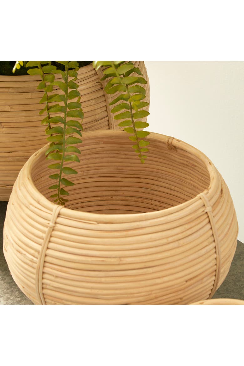 Cane Rattan Plant Baskets Set of 3, Alternate, color, Brown