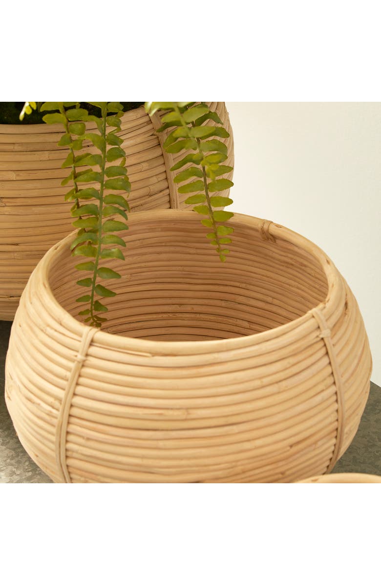 Napa Home & Garden Cane Rattan Plant Baskets Set of 3, Alternate, color, Brown