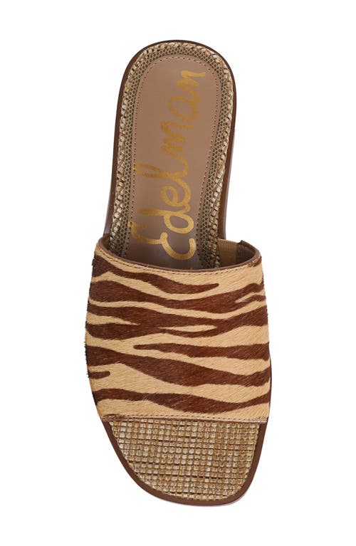 Shop Sam Edelman Sabrina Slide Sandal In Beechwood Multi