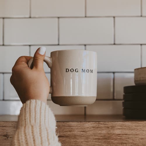 Sweet Water Decor Stoneware Quote Coffee Mug In Dog Mom
