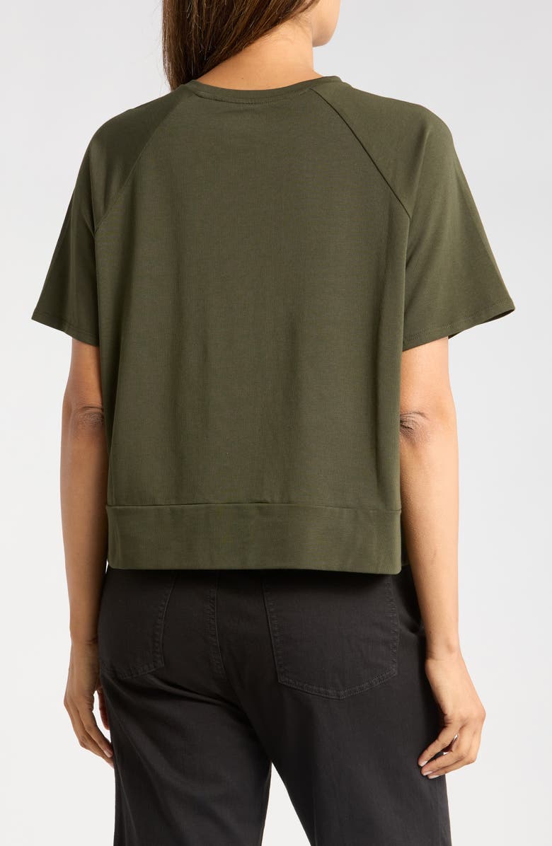 Eileen Fisher Raglan Sleeve Organic Cotton Blend T-Shirt, Alternate, color,