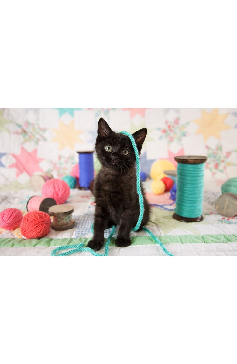 Sunsout Yes, I'm Cute 300 piece Jigsaw Puzzle for Adults, Alternate, color, Multicolor