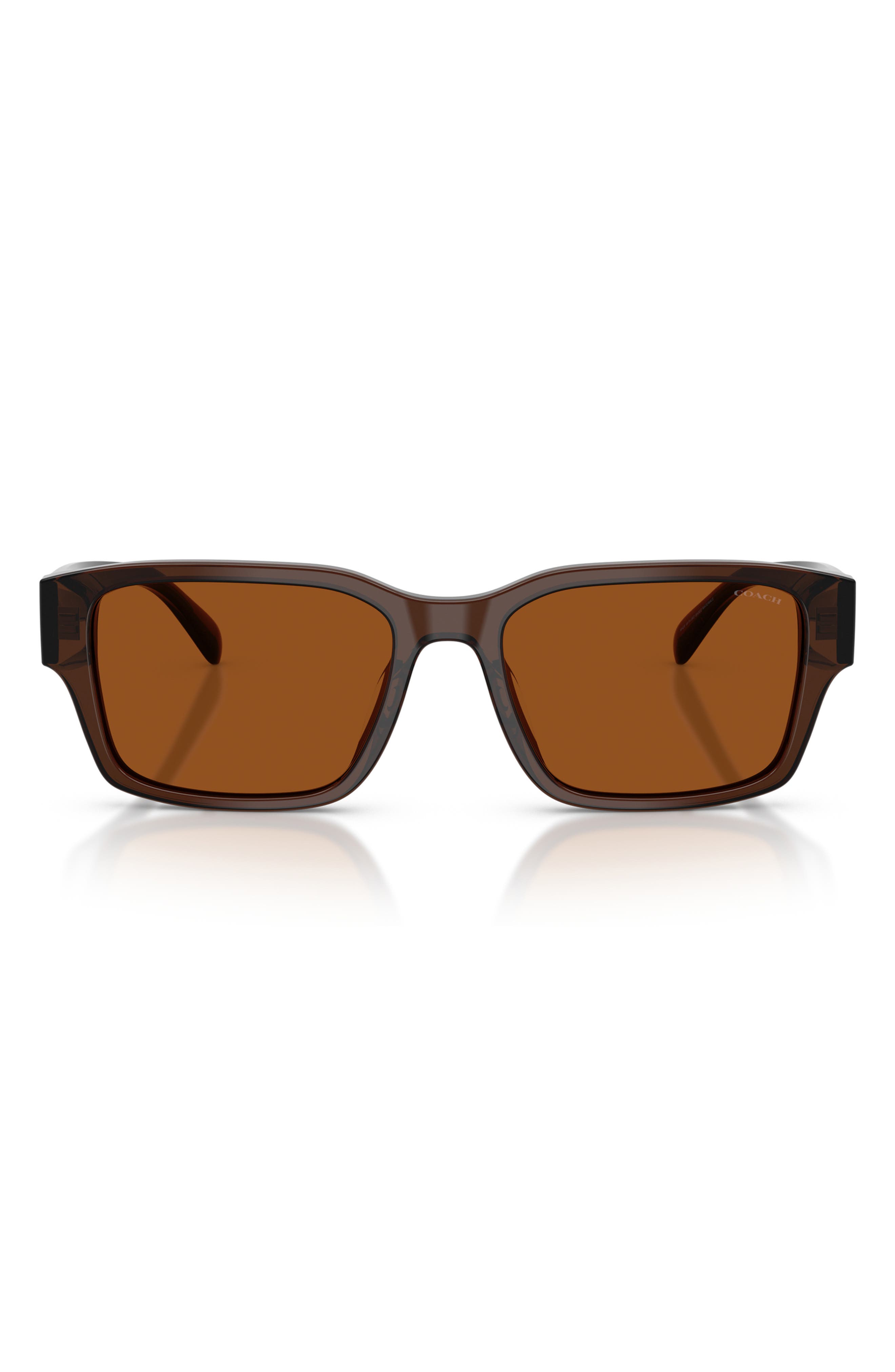 TRANSPARENT BROWN / BROWN