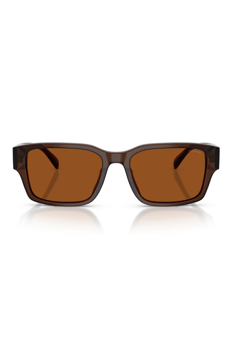 55mm Rectangular Sunglasses, Main, color, TRANSPARENT BROWN / BROWN